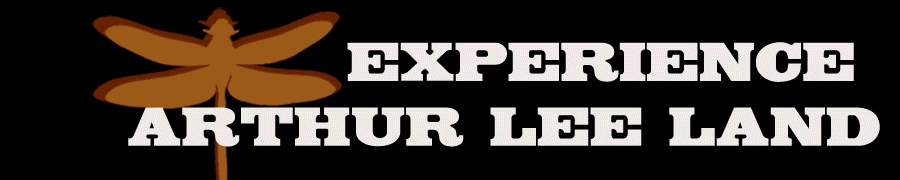 arthurleemusic.com